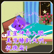 0、正在繁星漫天的